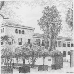 Iglesia de Santa María la Mayor de Alcaudete. Monumento del siglo XVl declarado Bien de Interés Cultural. Juan E. Latorre.