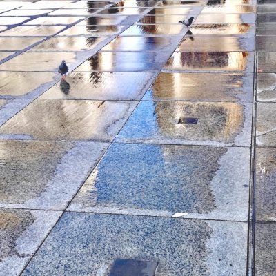 Después de la tormenta - JAVIER LEÓN COTARELO