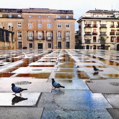 Palomas en el espejo de la Plaza de Santa María - JAVIER LEÓN COTARELO